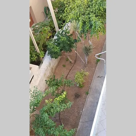 Ellis , Amperia , Crete Apartment Chania (Crete)