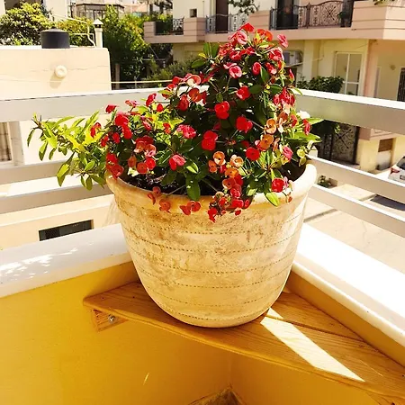 Ellis , Amperia , Crete Appartamento La Canea